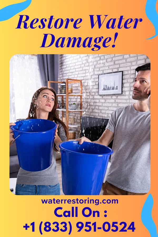 water restoration Disaster Recovery Co Kingstree